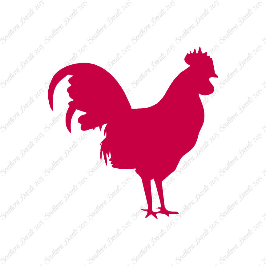 Rooster Chicken