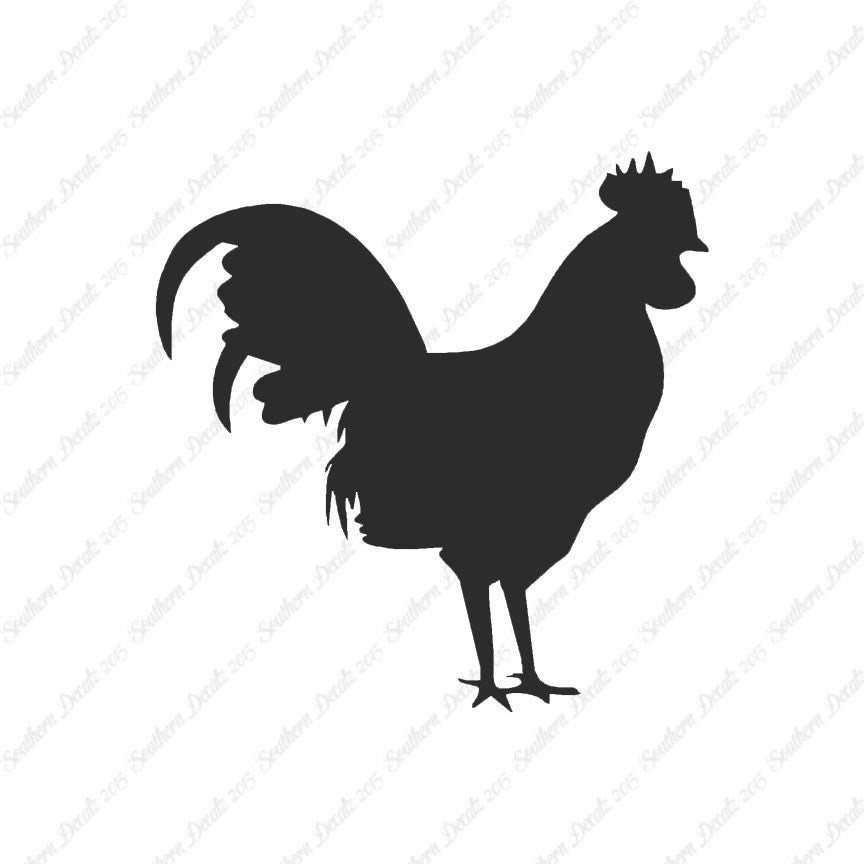 Rooster Chicken