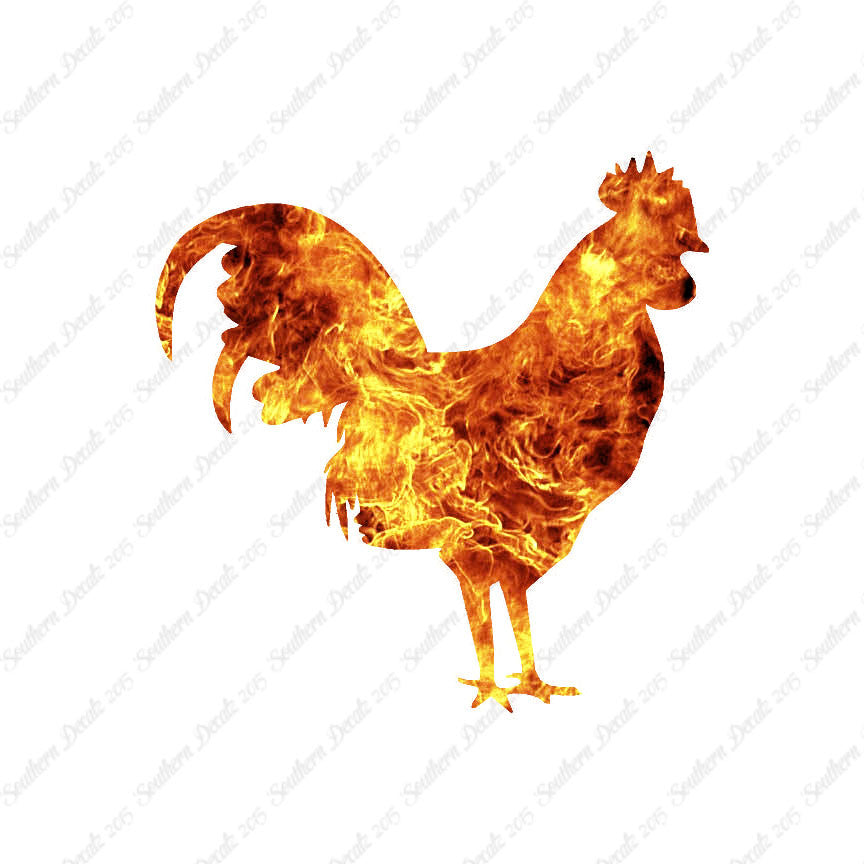 Rooster Chicken