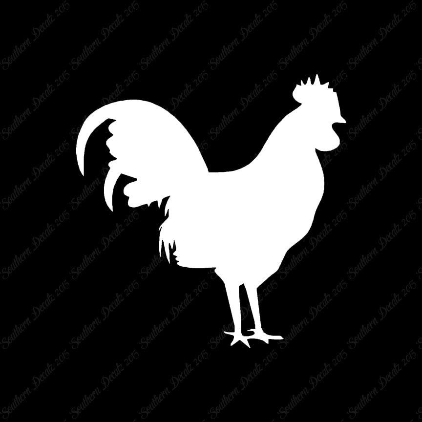 Rooster Chicken
