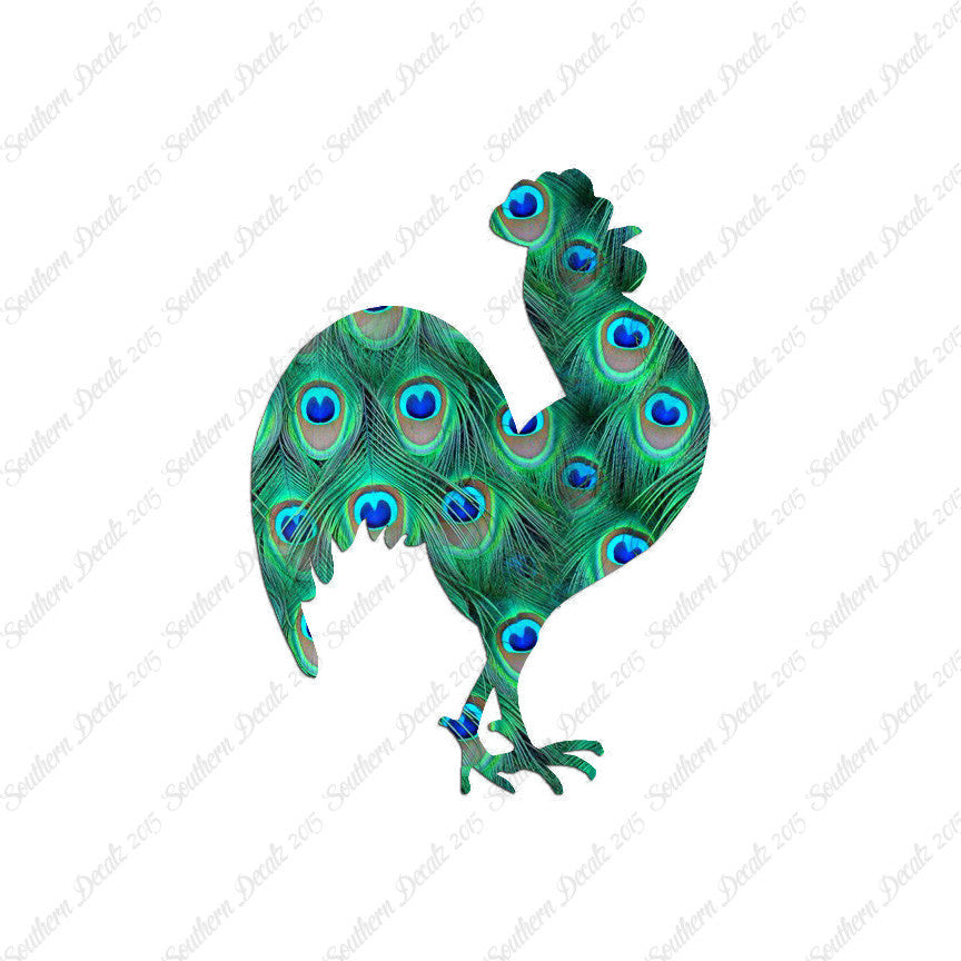 Chicken Rooster