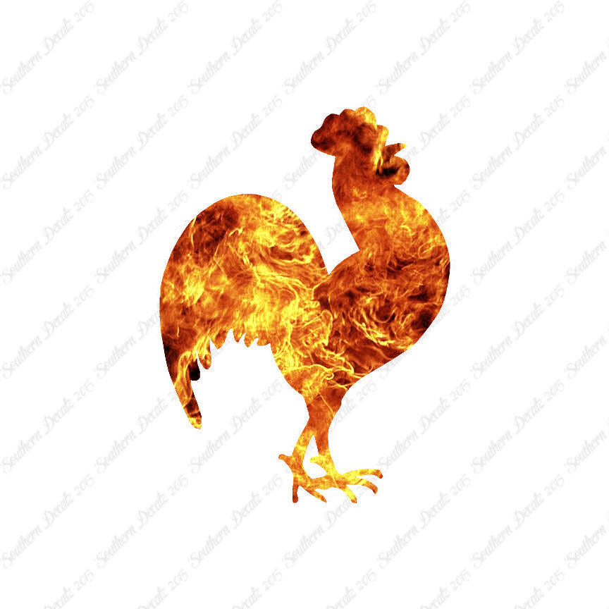 Chicken Rooster