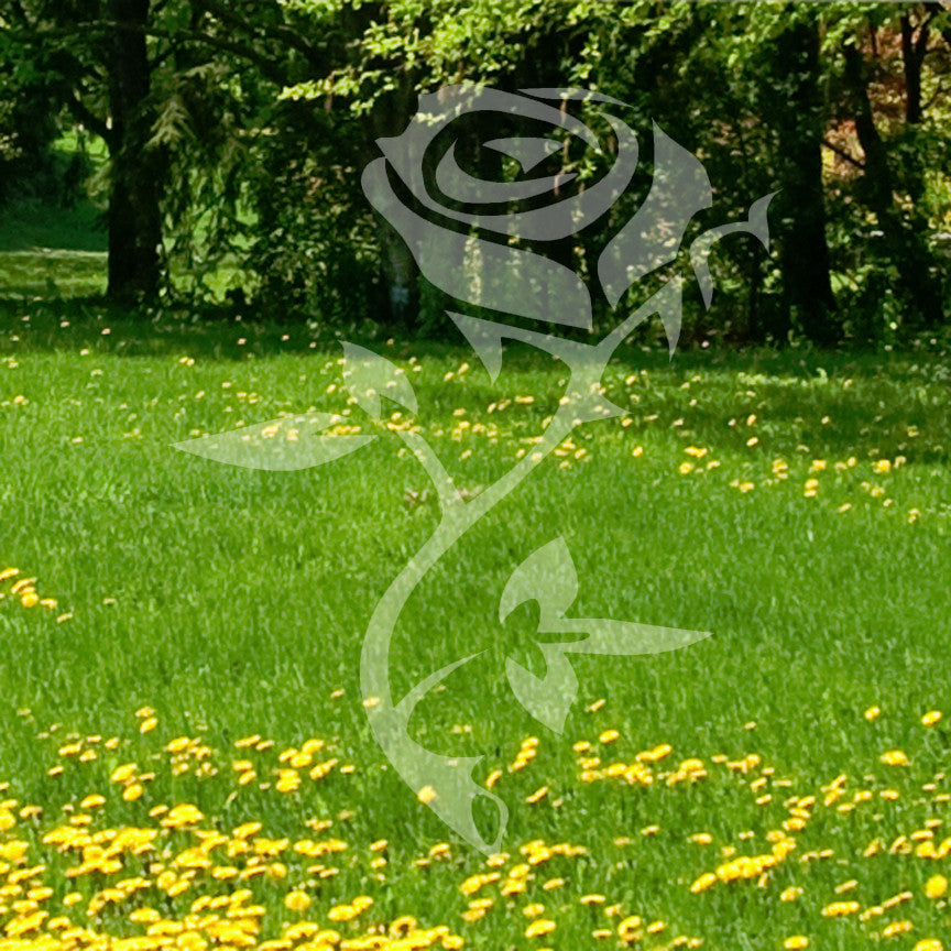 Tribal Rose Flower