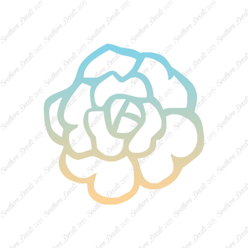 Flower Rose Carnation