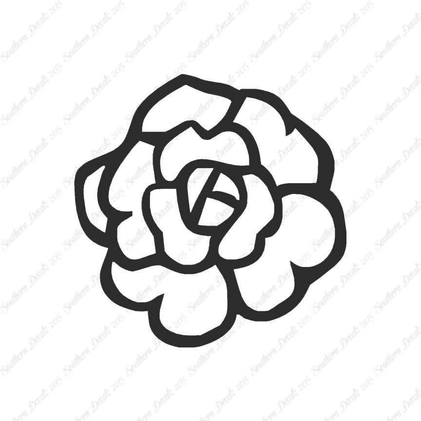 Flower Rose Carnation