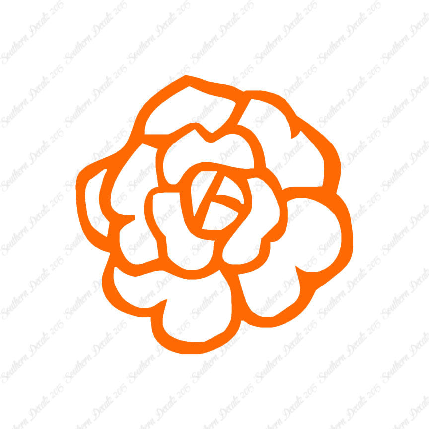 Flower Rose Carnation
