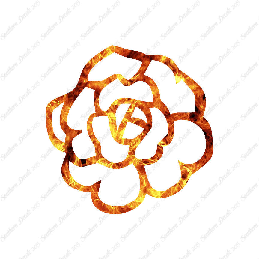 Flower Rose Carnation