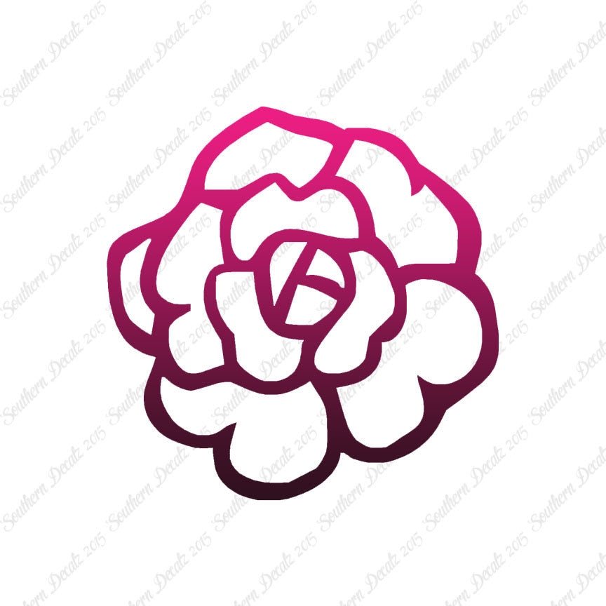 Flower Rose Carnation