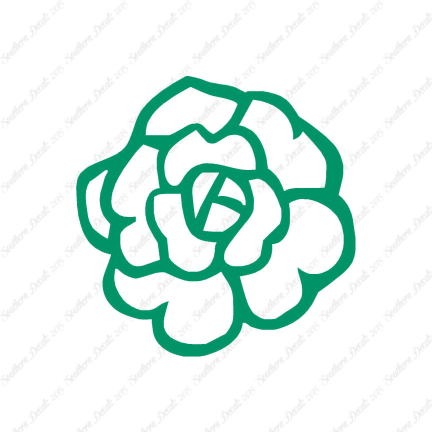 Flower Rose Carnation