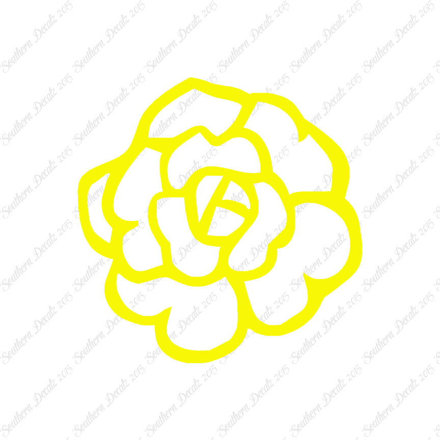 Flower Rose Carnation