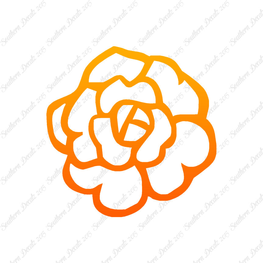 Flower Rose Carnation