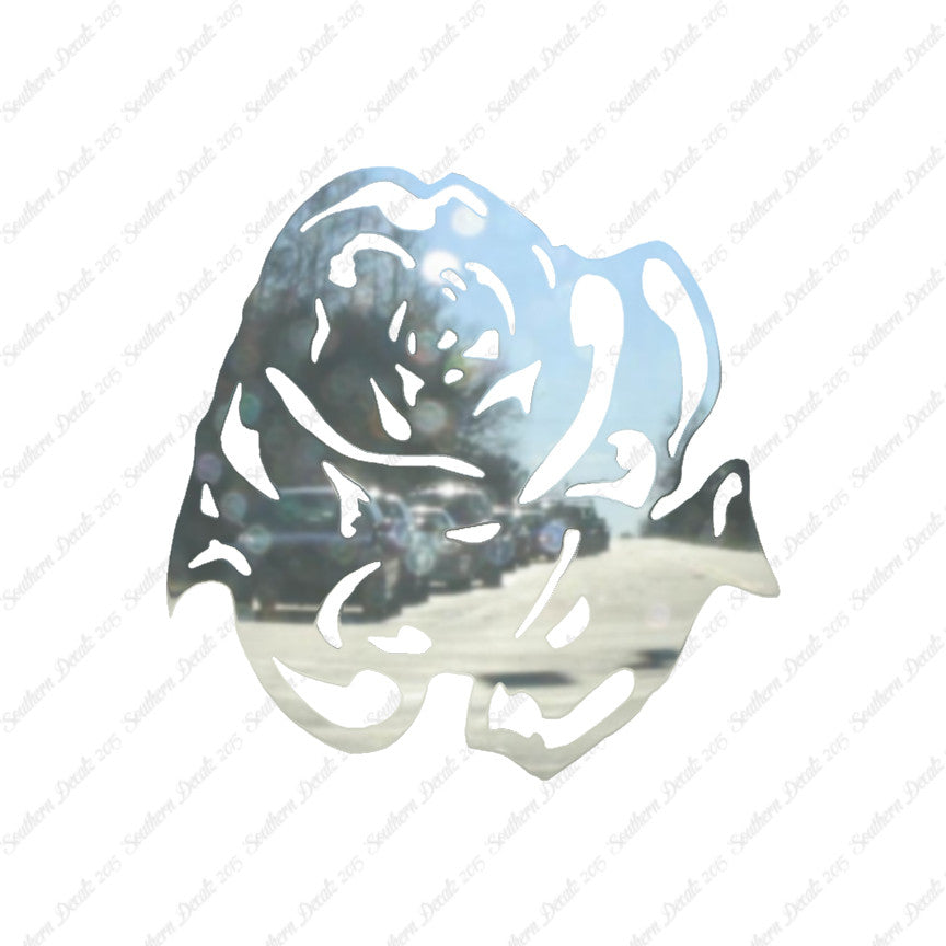 Carnation Rose Flower