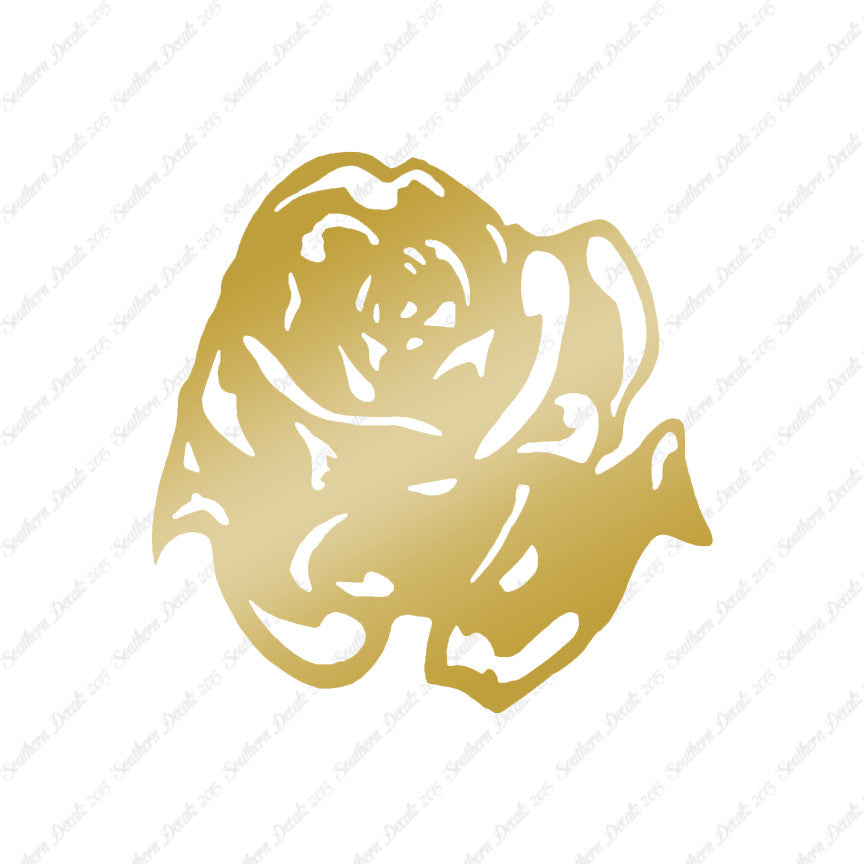 Carnation Rose Flower