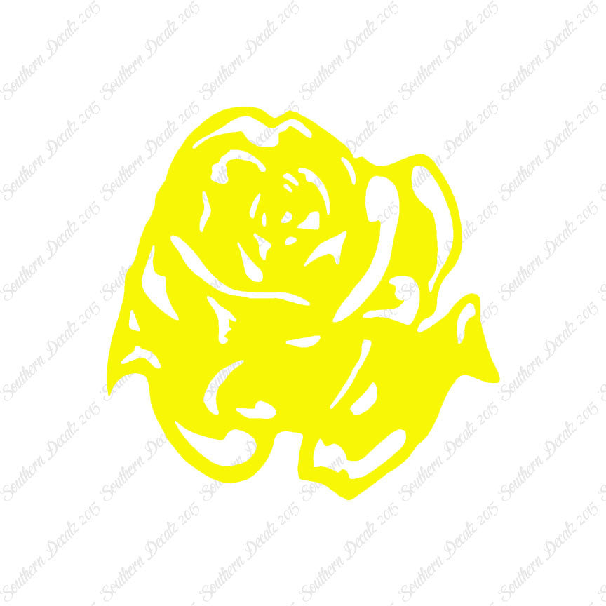 Carnation Rose Flower