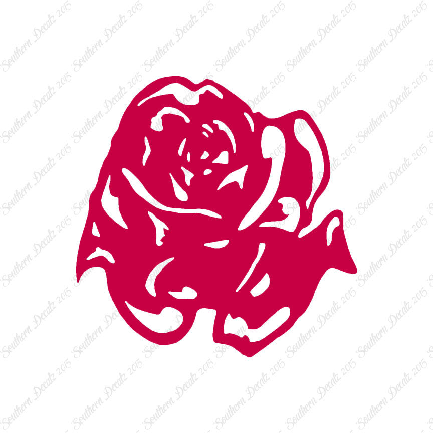 Carnation Rose Flower