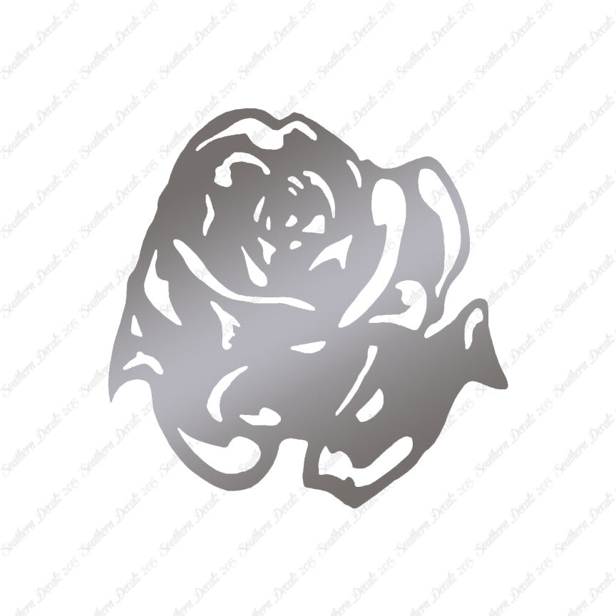 Carnation Rose Flower