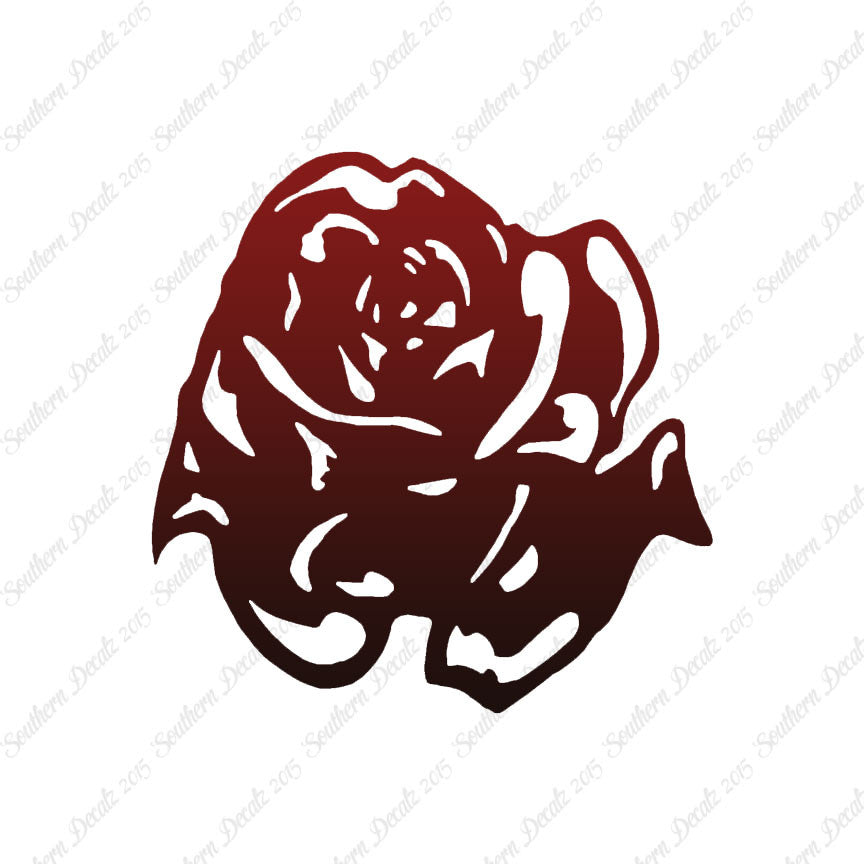 Carnation Rose Flower