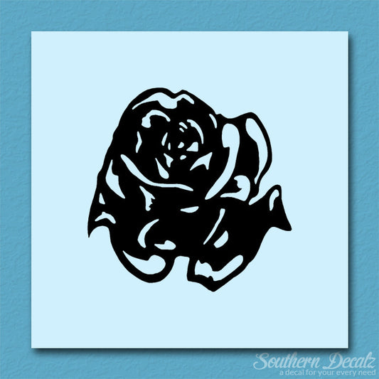 Carnation Rose Flower