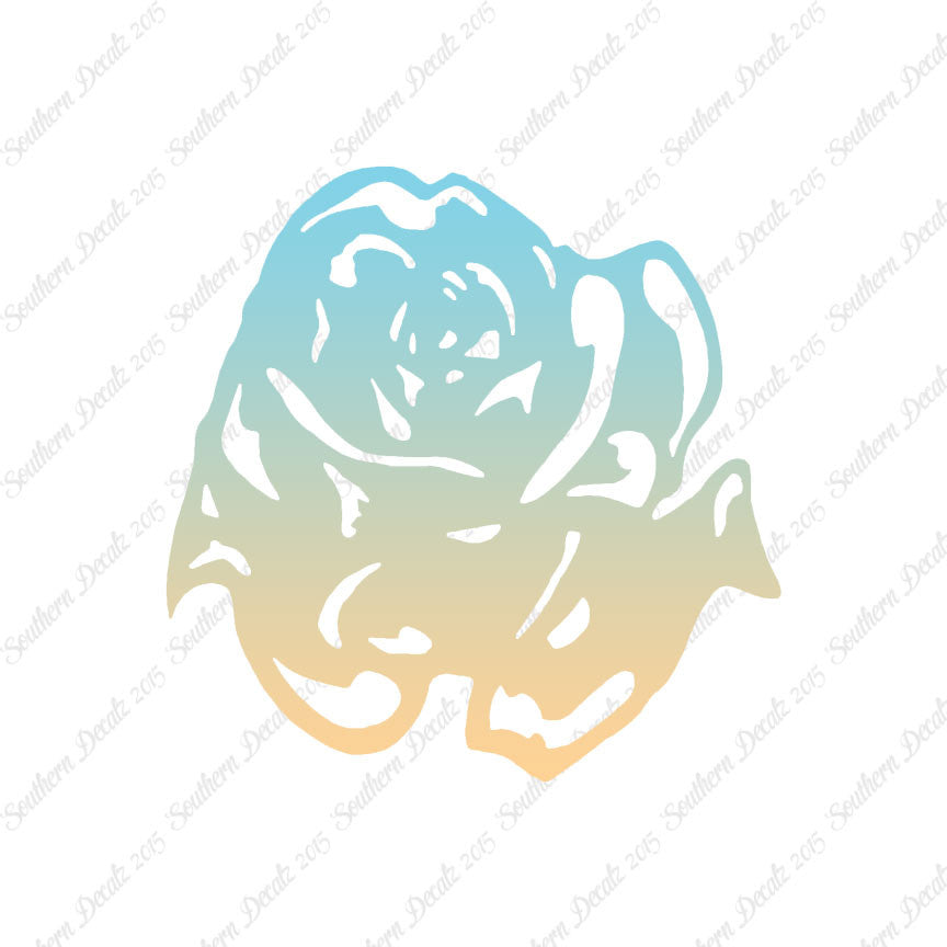 Carnation Rose Flower