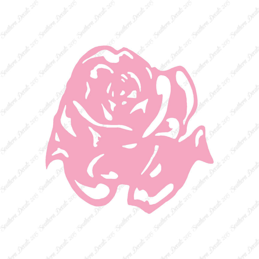 Carnation Rose Flower