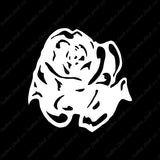 Carnation Rose Flower