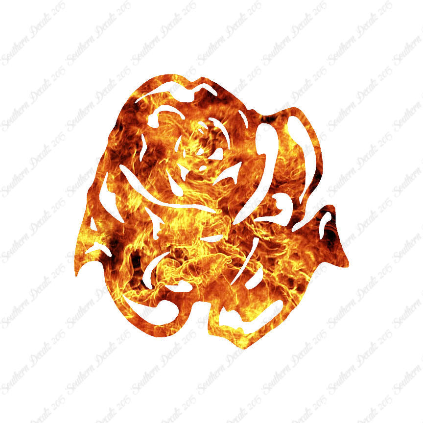 Carnation Rose Flower
