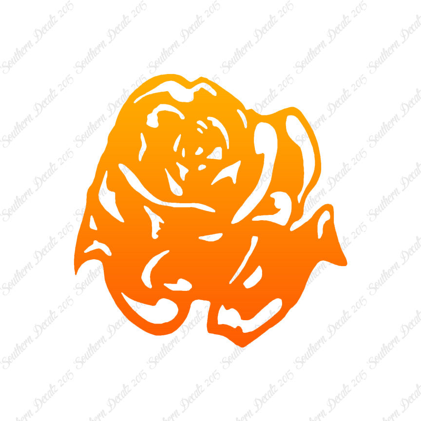 Carnation Rose Flower