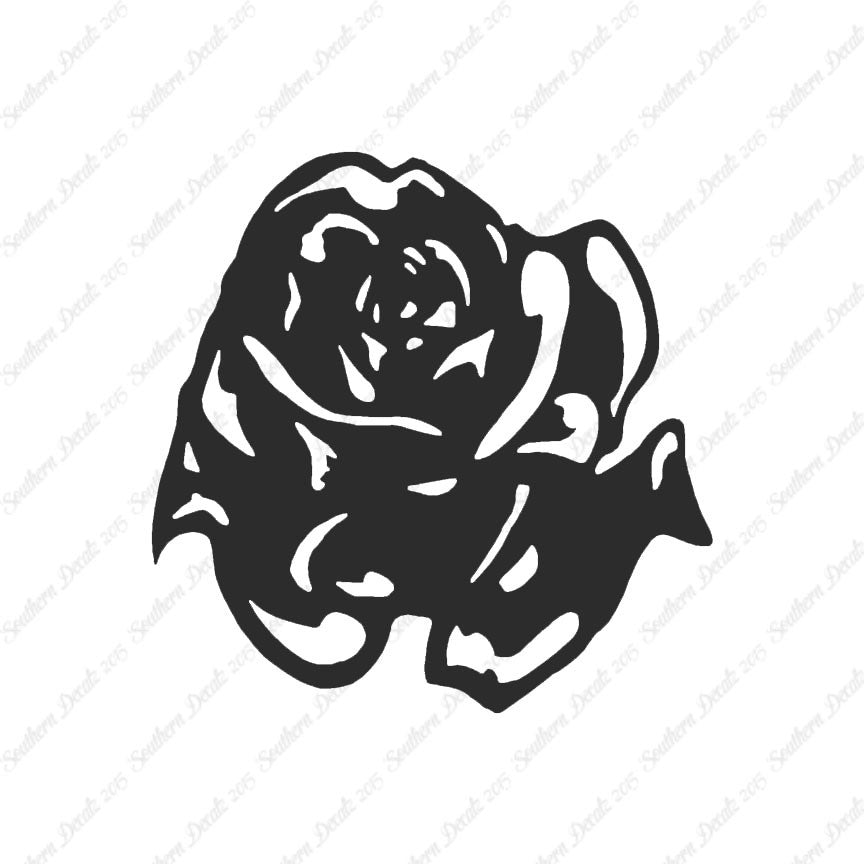 Carnation Rose Flower