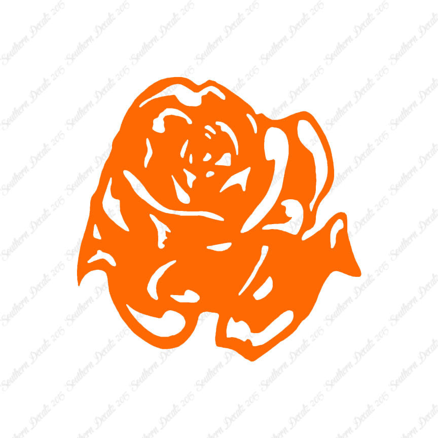 Carnation Rose Flower