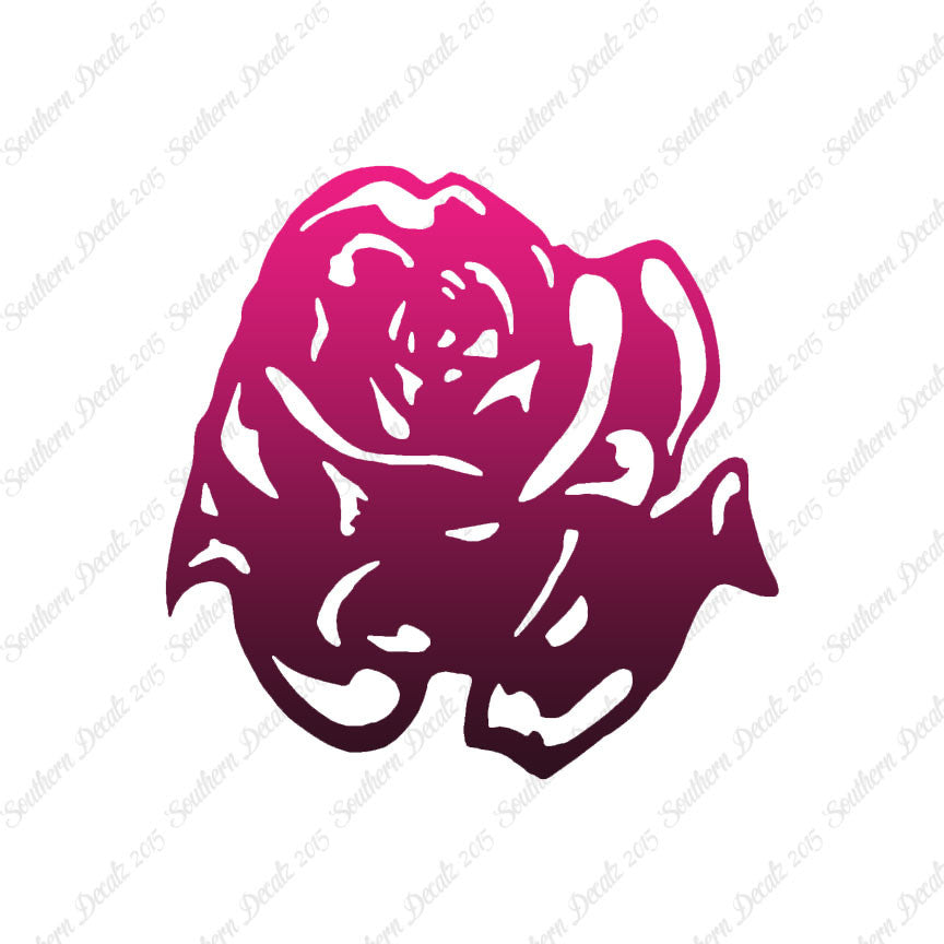 Carnation Rose Flower
