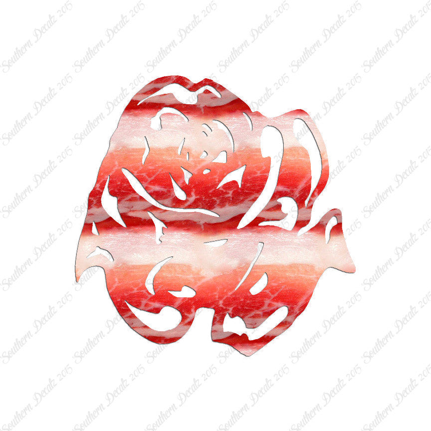 Carnation Rose Flower