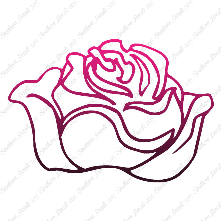 Rose Carnation