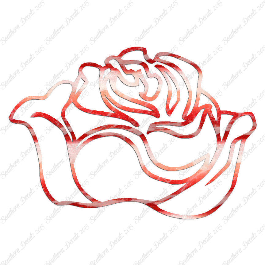 Rose Carnation
