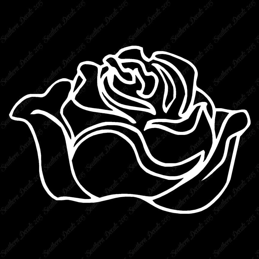 Rose Carnation