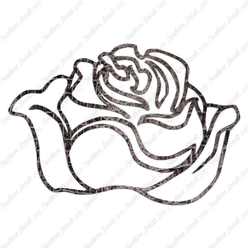 Rose Carnation