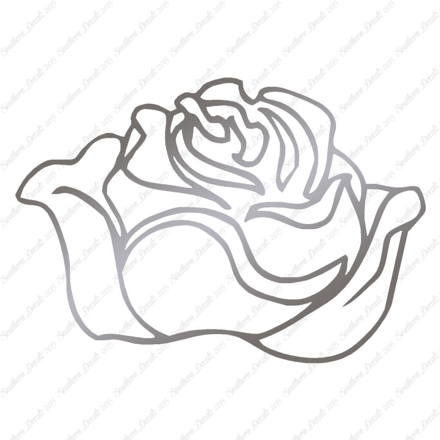 Rose Carnation
