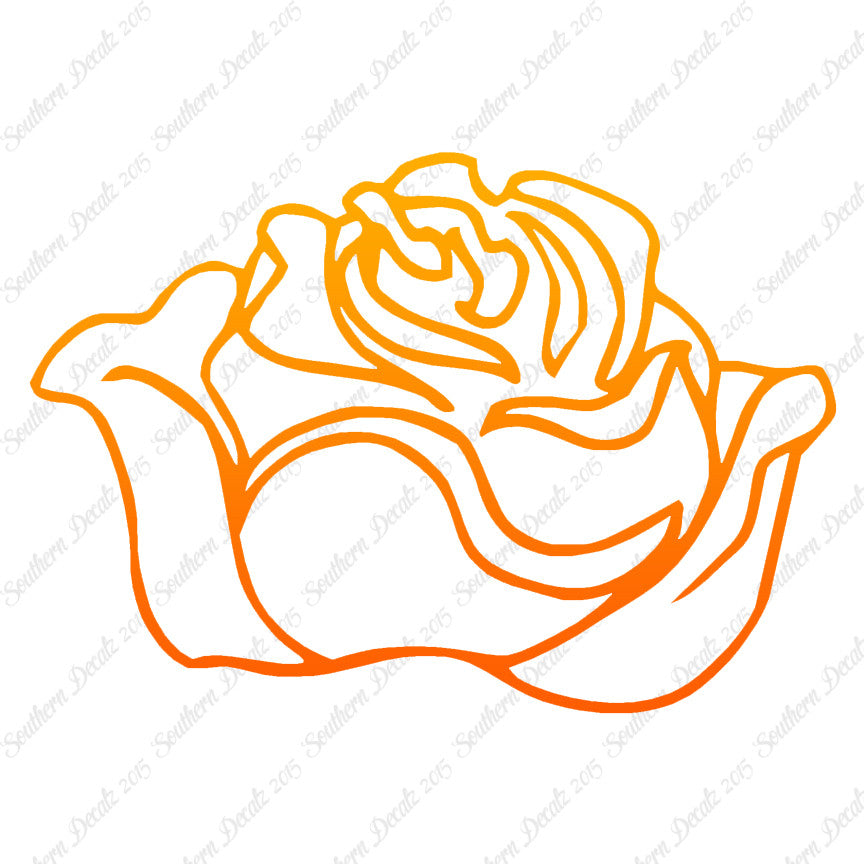 Rose Carnation