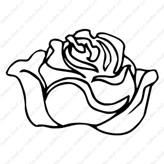 Rose Carnation