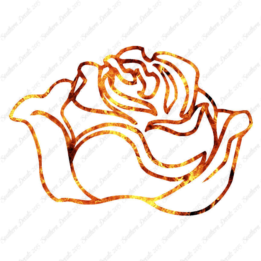 Rose Carnation