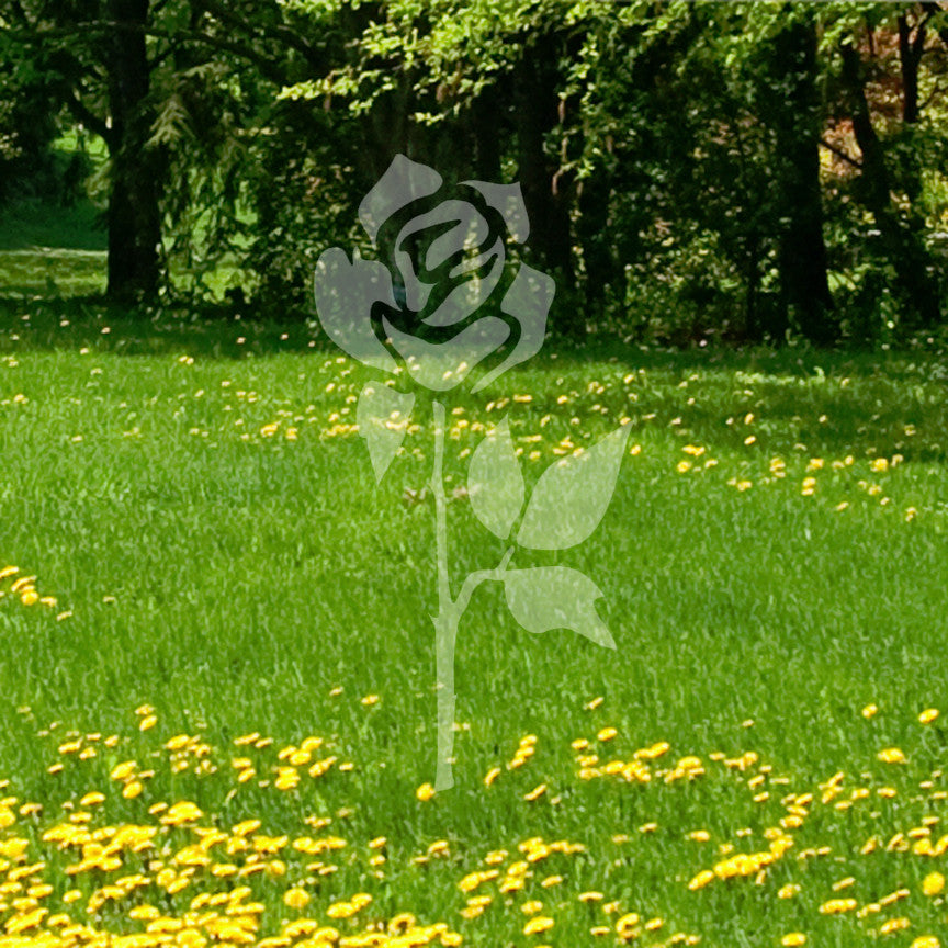 Rose Tribal Flower