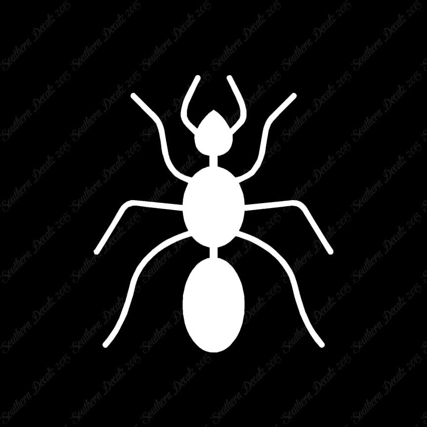Ant Pest Insect