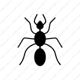 Ant Pest Insect
