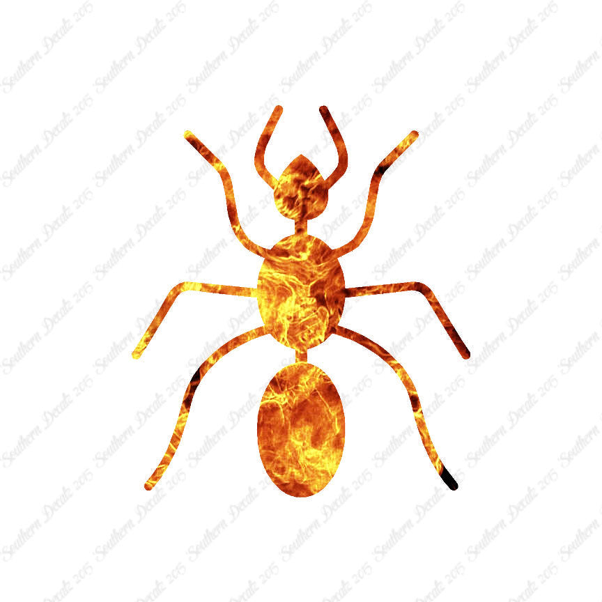Ant Pest Insect