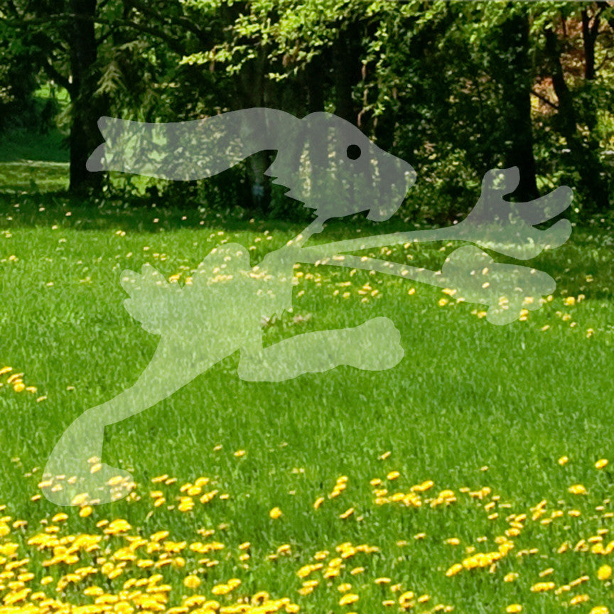 Running Rabbit Bunny