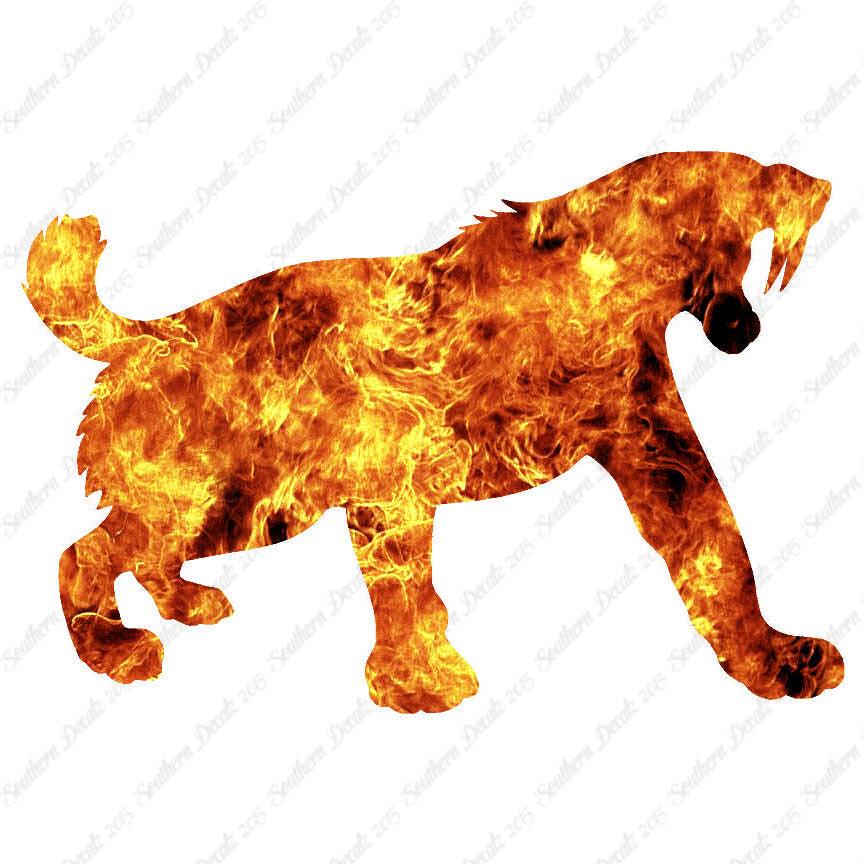 Sabretooth Tiger Big Cat