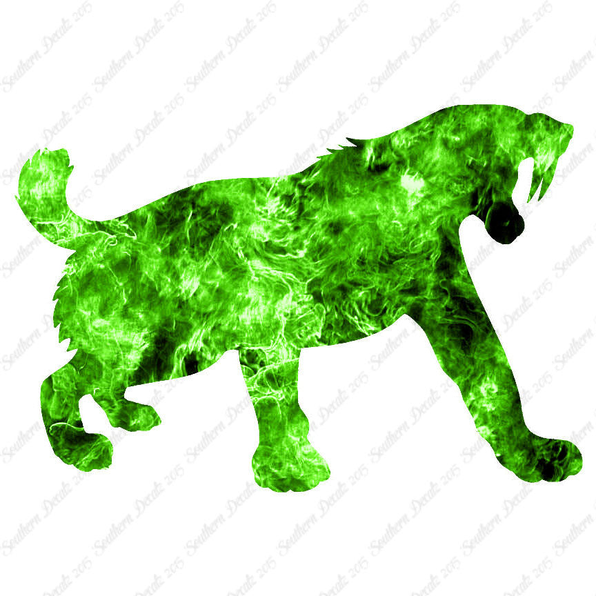 Sabretooth Tiger Big Cat