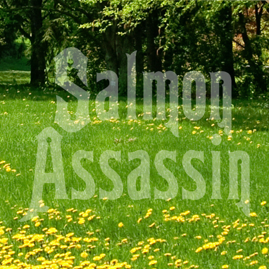 Salmon Assassin Fishing Fish