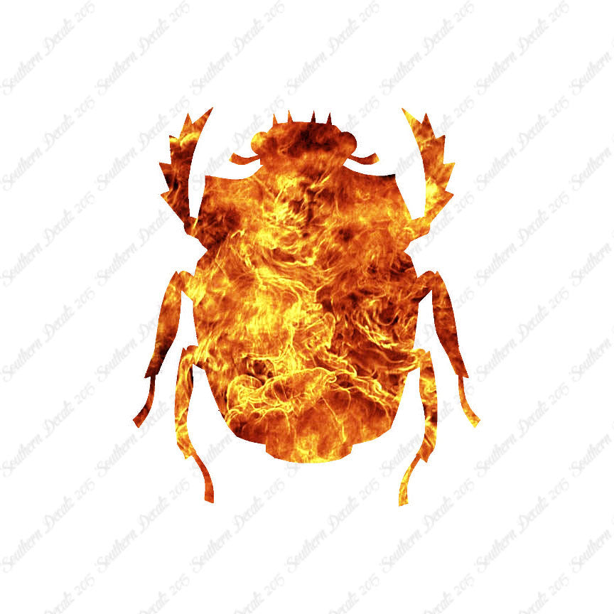 Scarab Beetle