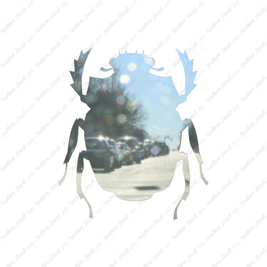 Scarab Beetle