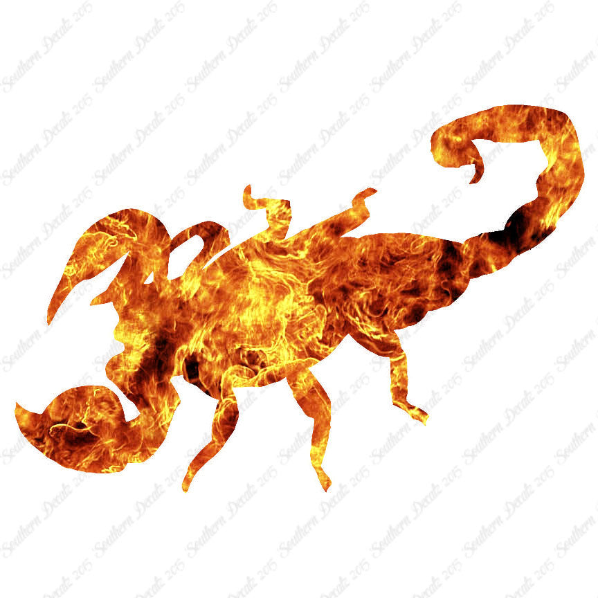 Scorpion